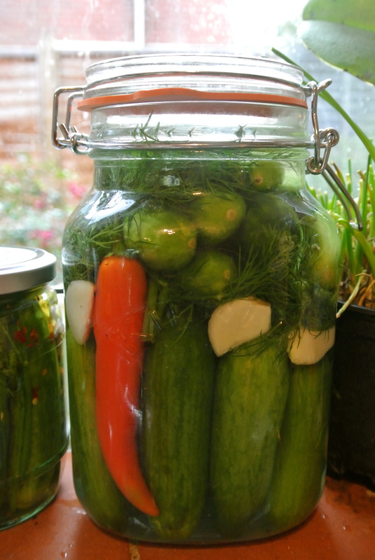 Israeli pickles - Manger Sans Frontières